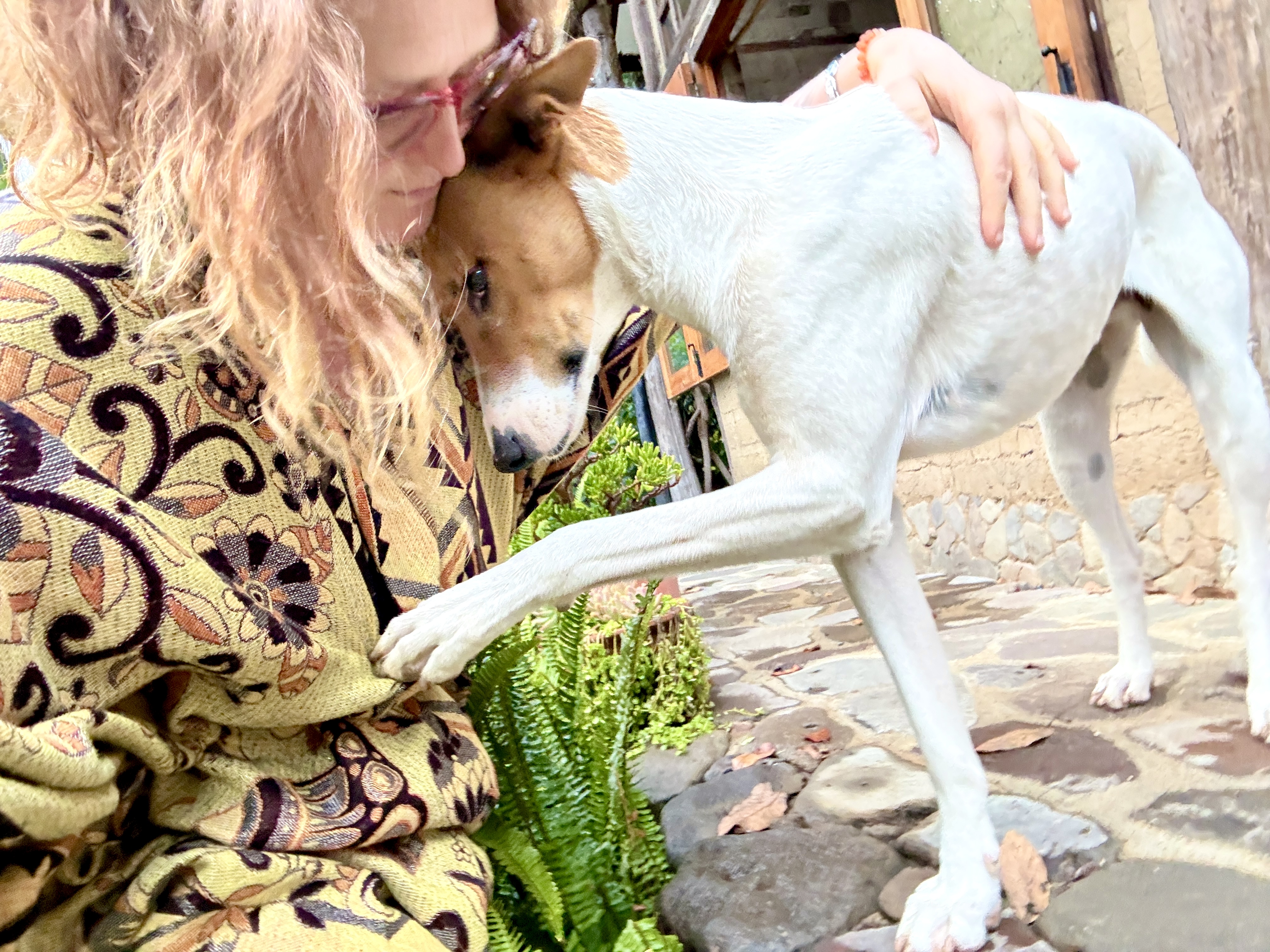 Svetlana with a shelter dog